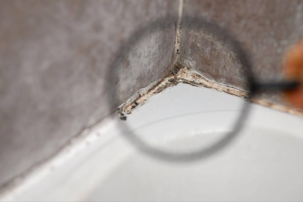 A person examining mold on a bathtub with a magnifying glass for detailed inspection