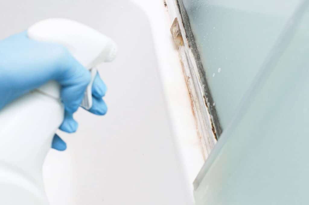 Someone in blue gloves sprays cleaning solution on a window actively wiping it for a clearer view